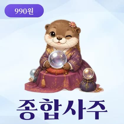 사주모모 종합사주 인생 사용설명서 미리보기