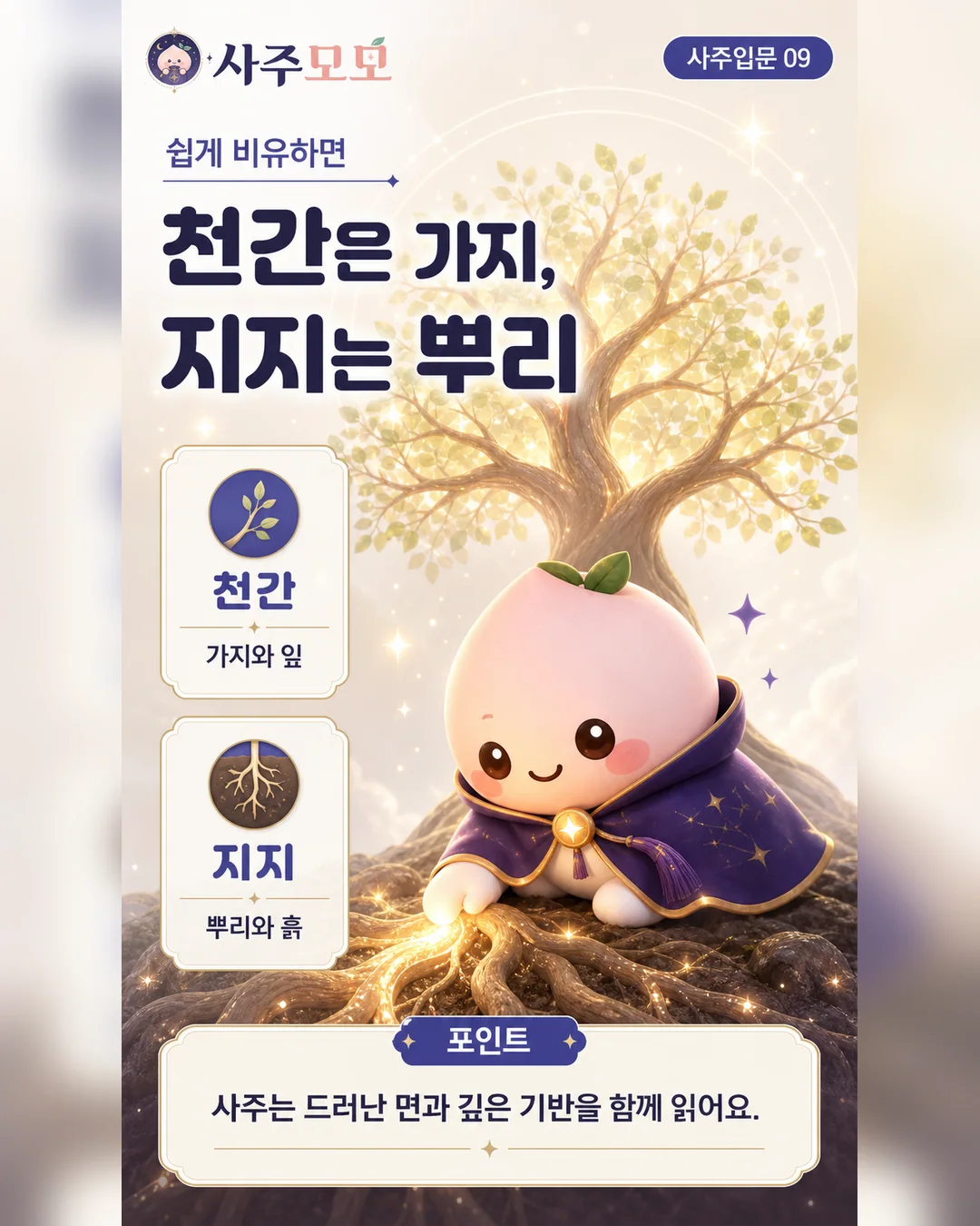 천간은 가지 지지는 뿌리 비유 카드뉴스 9장